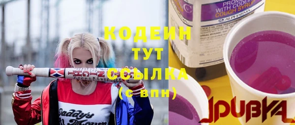 мет Елабуга