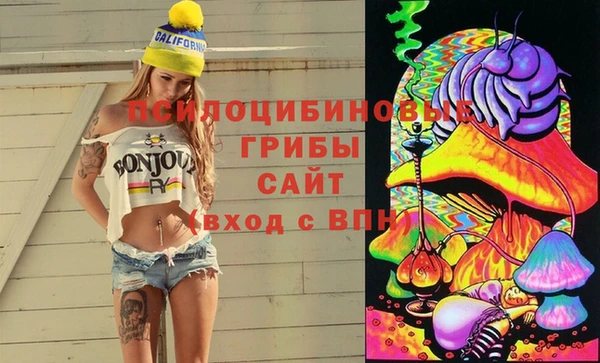 МДПВ Елизово