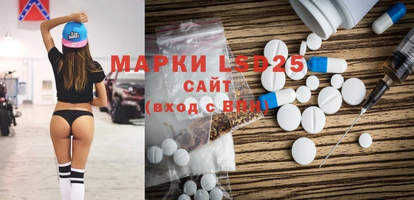 мет Елабуга