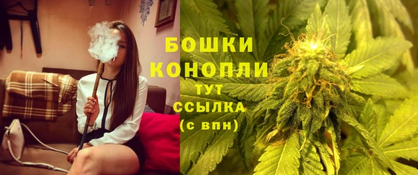МДПВ Елизово