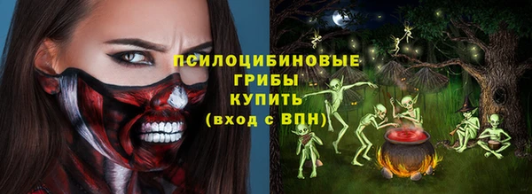 МДПВ Елизово