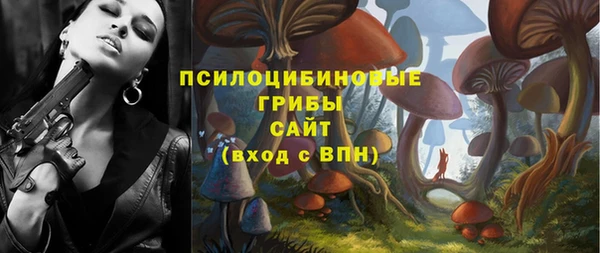 мет Елабуга